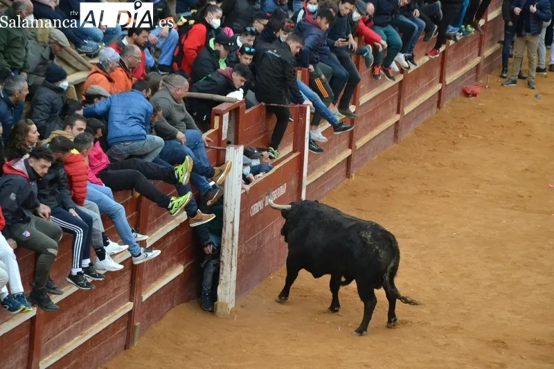 Foto 8 - El Toro del Aguardiente realiza varias idas y venidas tras salir del Registro 20 a&ntilde;os despu&eacute;s