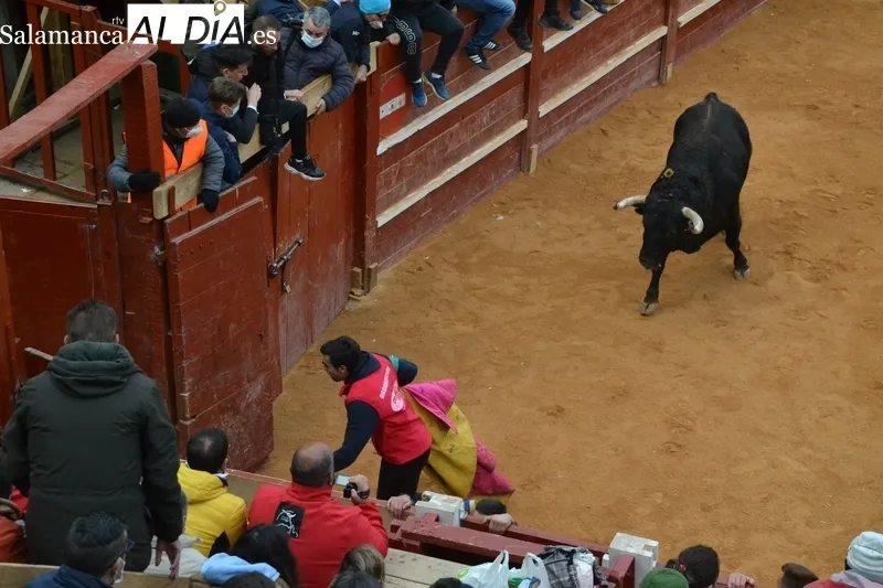Foto 7 - El Toro del Aguardiente realiza varias idas y venidas tras salir del Registro 20 a&ntilde;os despu&eacute;s