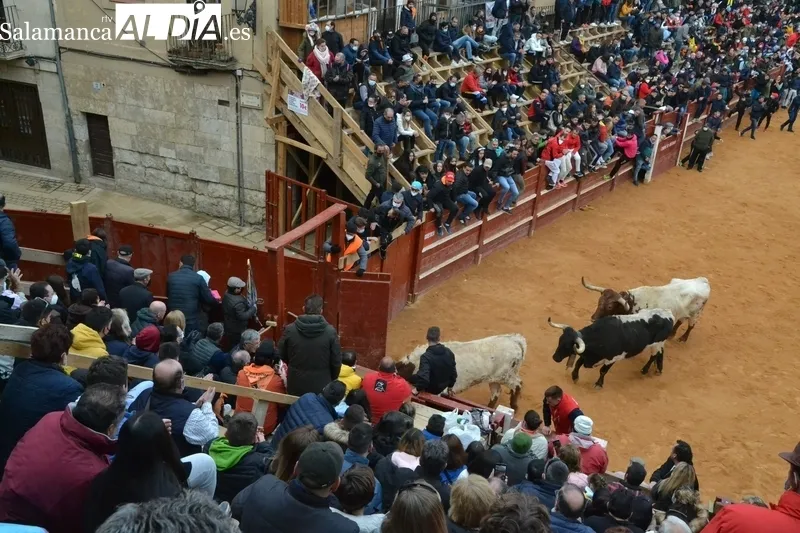 Foto 6 - El Toro del Aguardiente realiza varias idas y venidas tras salir del Registro 20 a&ntilde;os despu&eacute;s
