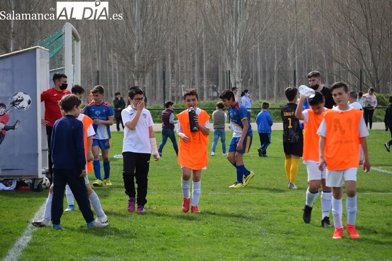 Foto 7 - Resultados del Alba de Tormes Club de F&uacute;tbol en la vigesimoprimera jornada liguera
