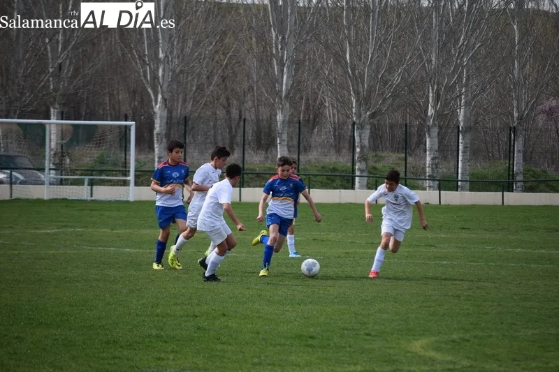 Foto 6 - Resultados del Alba de Tormes Club de F&uacute;tbol en la vigesimoprimera jornada liguera