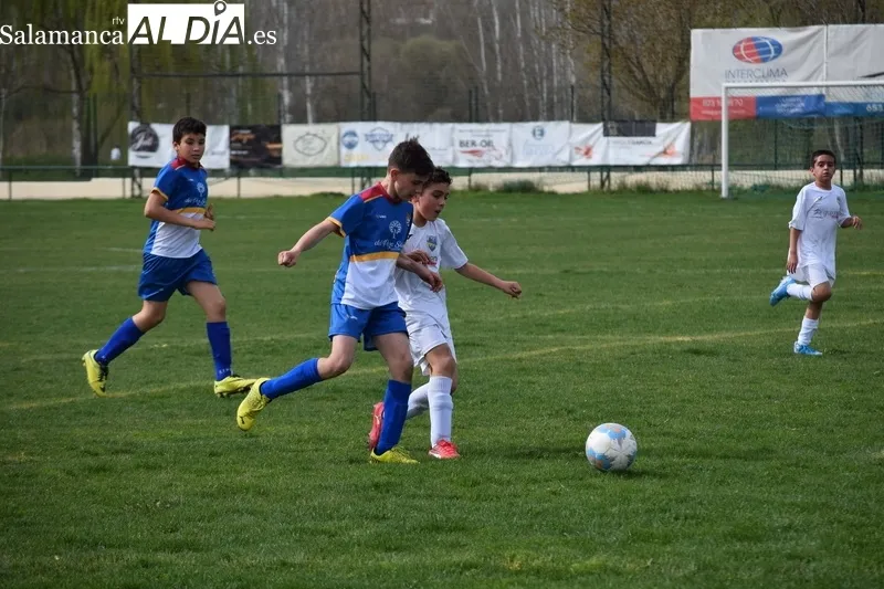 Foto 5 - Resultados del Alba de Tormes Club de F&uacute;tbol en la vigesimoprimera jornada liguera