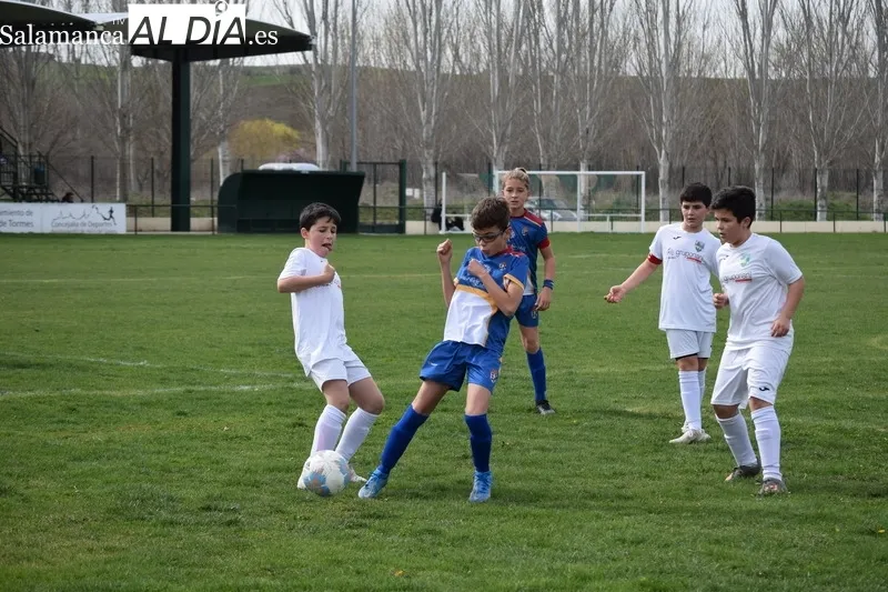 Foto 2 - Resultados del Alba de Tormes Club de F&uacute;tbol en la vigesimoprimera jornada liguera