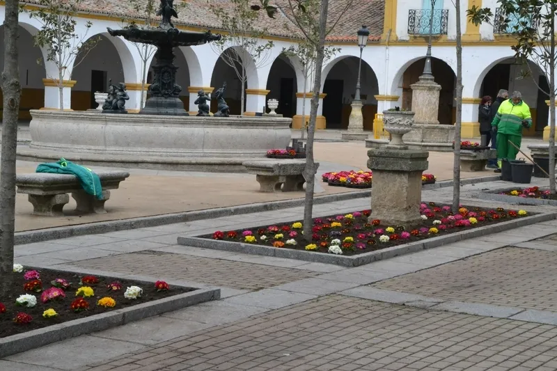 Foto 3 - La Plazuela del Buen Alcalde empieza a &lsquo;renacer&rsquo; tras el &lsquo;tsunami&rsquo; carnavalero 