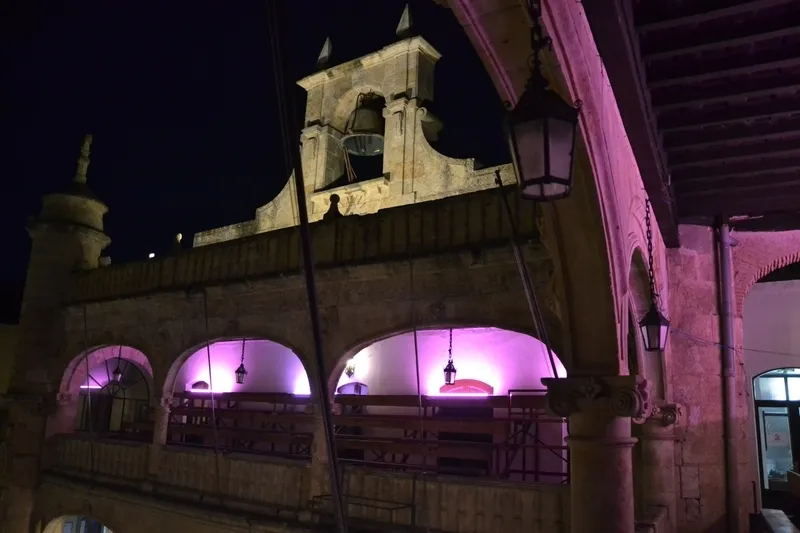 Foto 4 - La Casa Consistorial prolonga su look morado