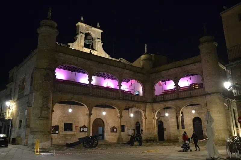 Foto 3 - La Casa Consistorial prolonga su look morado