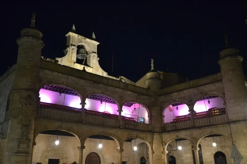 Foto 2 - La Casa Consistorial prolonga su look morado