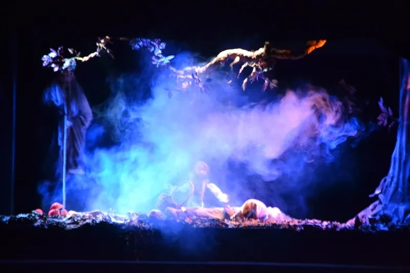 Foto 3 - Teatro Corsario alza el tel&oacute;n semestral impactando de nuevo con sus t&iacute;teres casi humanos