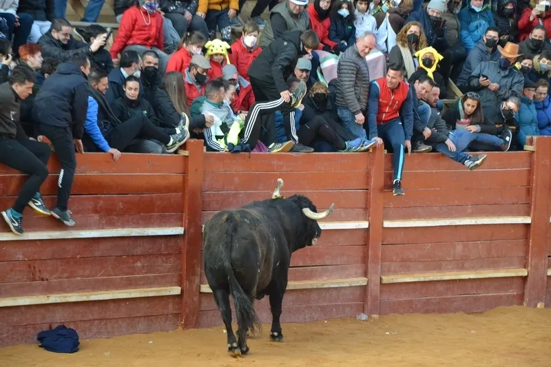 Foto 10 - Notable rendimiento del &lsquo;Toro de Cenizos&rsquo;, con tres sustos nada m&aacute;s salir, ante mucho p&uacute;blico