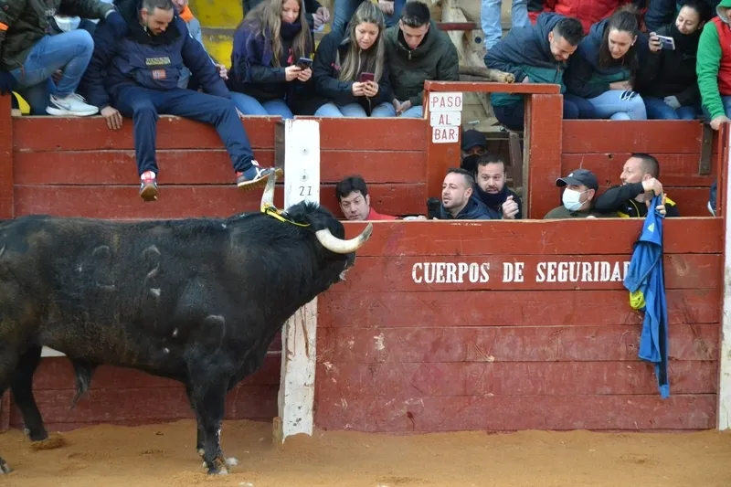 Foto 8 - Notable rendimiento del &lsquo;Toro de Cenizos&rsquo;, con tres sustos nada m&aacute;s salir, ante mucho p&uacute;blico