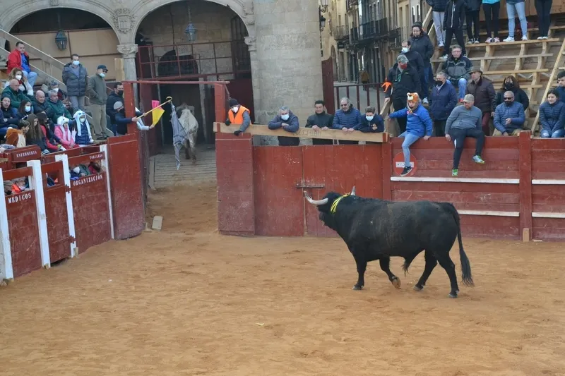Foto 7 - Notable rendimiento del &lsquo;Toro de Cenizos&rsquo;, con tres sustos nada m&aacute;s salir, ante mucho p&uacute;blico