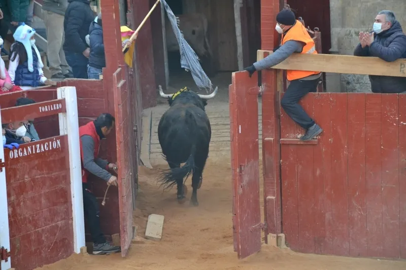Foto 6 - Notable rendimiento del &lsquo;Toro de Cenizos&rsquo;, con tres sustos nada m&aacute;s salir, ante mucho p&uacute;blico