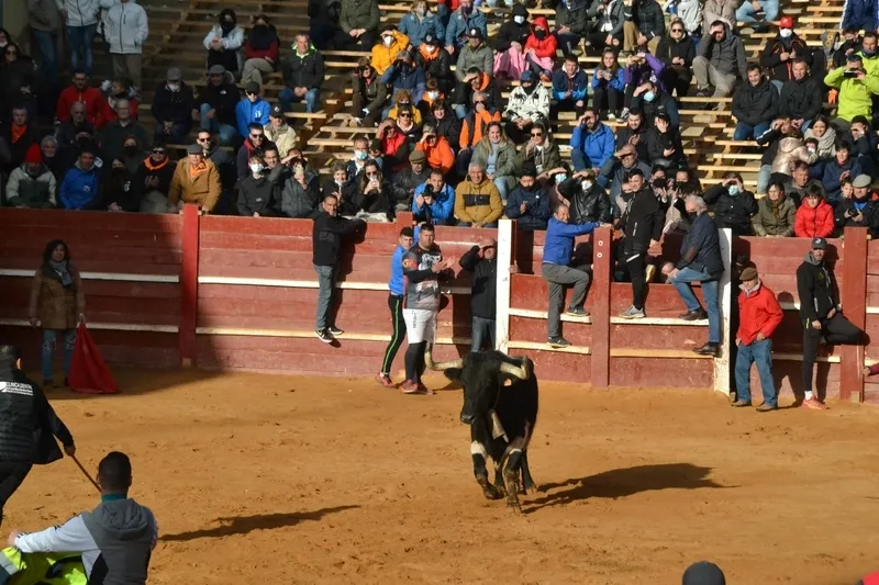 Foto 5 - Notable rendimiento del &lsquo;Toro de Cenizos&rsquo;, con tres sustos nada m&aacute;s salir, ante mucho p&uacute;blico