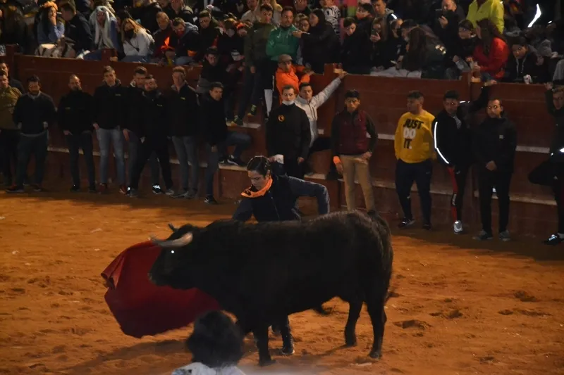 Foto 11 - Buen juego de los toros donados por los constructores de los tablaos en una noche de fenomenal ambiente