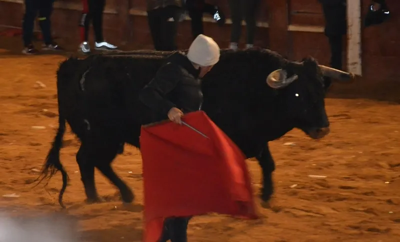Foto 10 - Buen juego de los toros donados por los constructores de los tablaos en una noche de fenomenal ambiente
