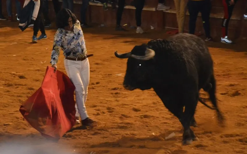 Foto 9 - Buen juego de los toros donados por los constructores de los tablaos en una noche de fenomenal ambiente