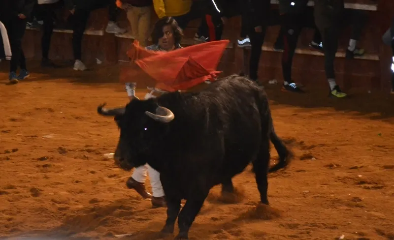 Foto 8 - Buen juego de los toros donados por los constructores de los tablaos en una noche de fenomenal ambiente