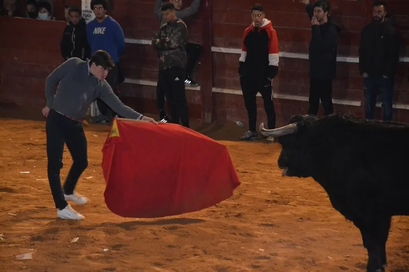 Foto 7 - Buen juego de los toros donados por los constructores de los tablaos en una noche de fenomenal ambiente