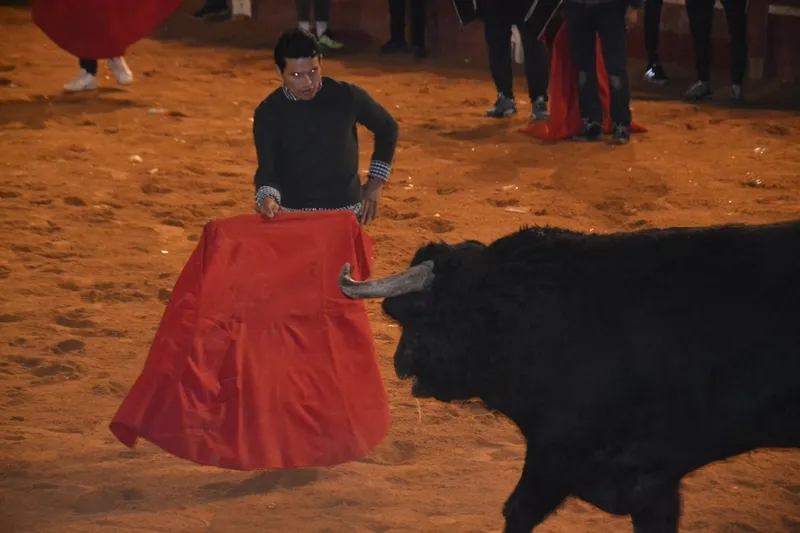 Foto 6 - Buen juego de los toros donados por los constructores de los tablaos en una noche de fenomenal ambiente