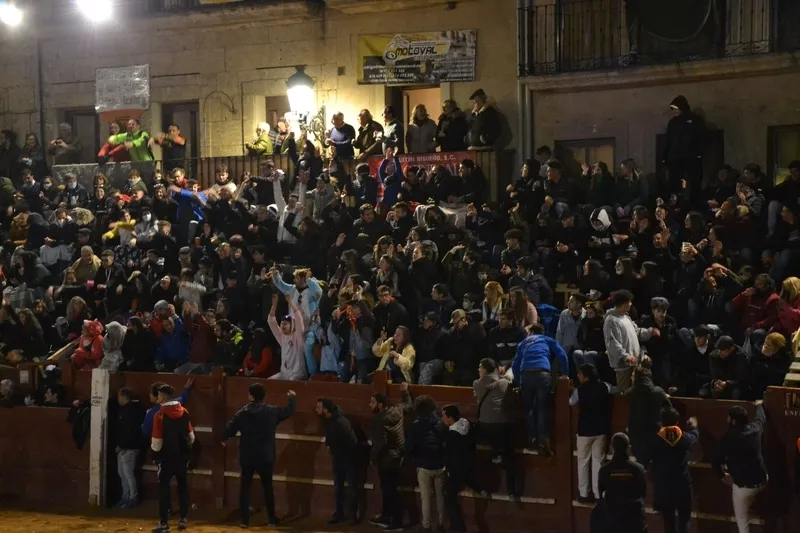 Foto 5 - Buen juego de los toros donados por los constructores de los tablaos en una noche de fenomenal ambiente
