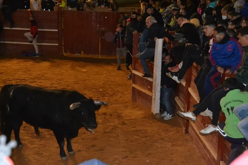 Foto 4 - Buen juego de los toros donados por los constructores de los tablaos en una noche de fenomenal ambiente