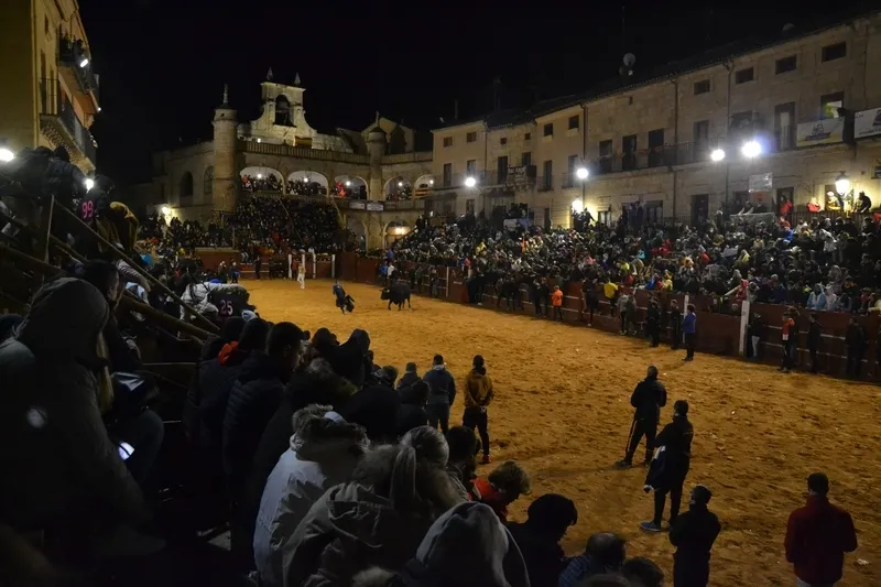Foto 3 - Buen juego de los toros donados por los constructores de los tablaos en una noche de fenomenal ambiente