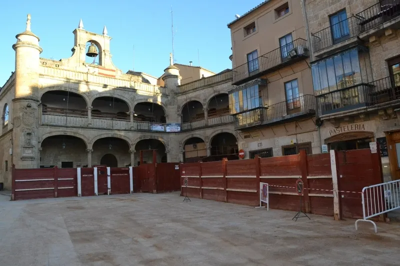 Foto 5 - El d&iacute;a de Cenizos hace que la Plaza Mayor conserve hasta el lunes parte de su disfraz carnavalero