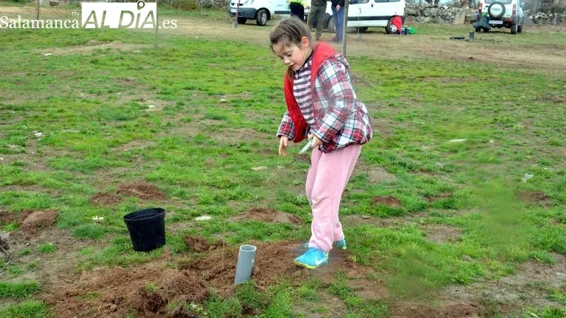 Niños y mayores participaron en la plantación de árboles en Valdeperijo