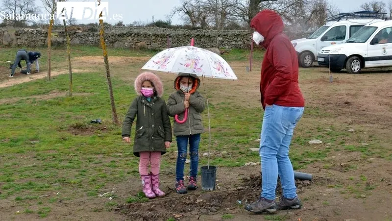 Niños y mayores participaron en la plantación de árboles en Valdeperijo