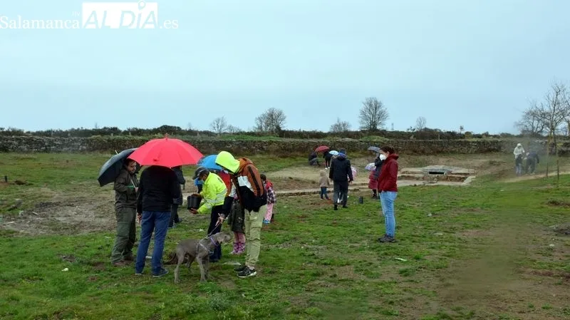 Niños y mayores participaron en la plantación de árboles en Valdeperijo