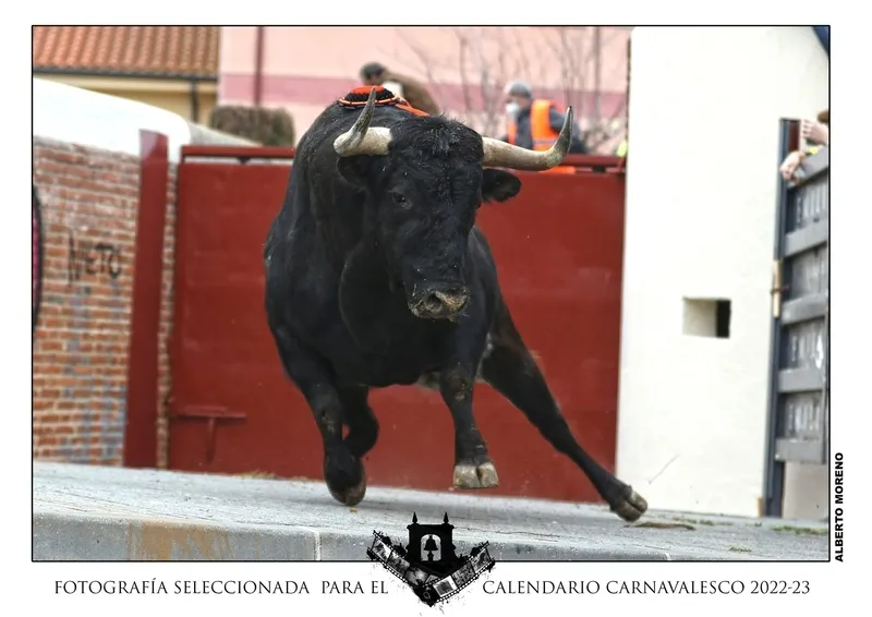 Foto 9 - Elegidas las 12 im&aacute;genes que integrar&aacute;n el Calendario Carnavalero, pertenecientes a 9 autores diferentes