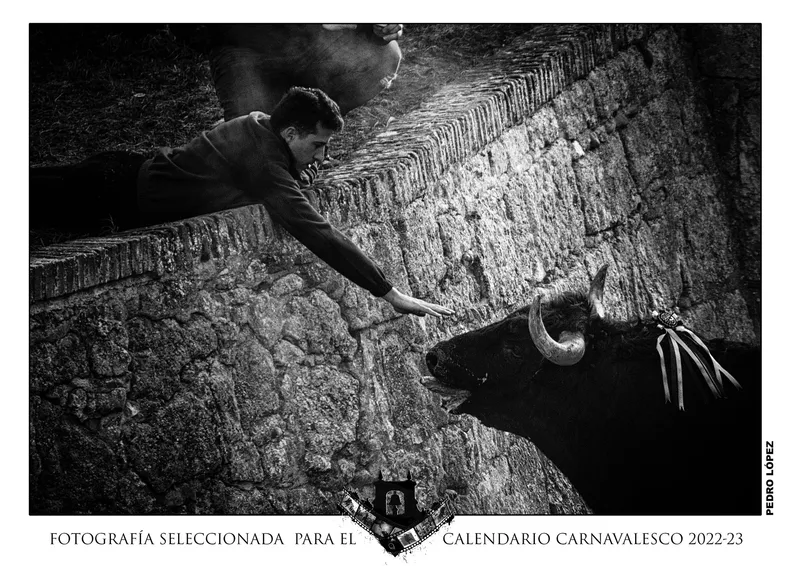Foto 8 - Elegidas las 12 im&aacute;genes que integrar&aacute;n el Calendario Carnavalero, pertenecientes a 9 autores diferentes