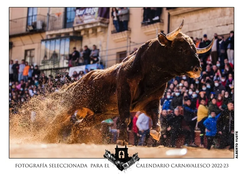 Foto 6 - Elegidas las 12 im&aacute;genes que integrar&aacute;n el Calendario Carnavalero, pertenecientes a 9 autores diferentes