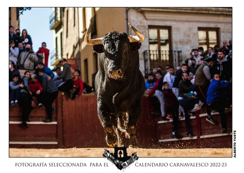 Foto 5 - Elegidas las 12 im&aacute;genes que integrar&aacute;n el Calendario Carnavalero, pertenecientes a 9 autores diferentes