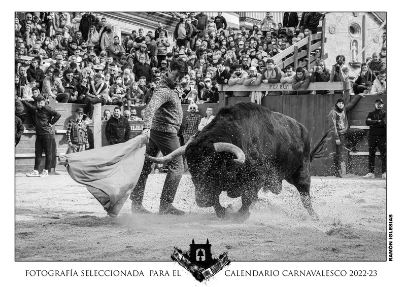 Foto 2 - Elegidas las 12 im&aacute;genes que integrar&aacute;n el Calendario Carnavalero, pertenecientes a 9 autores diferentes
