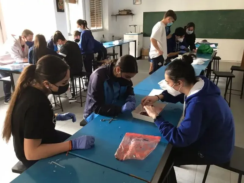 Clases de Anatomía en el colegio San Juan Bosco