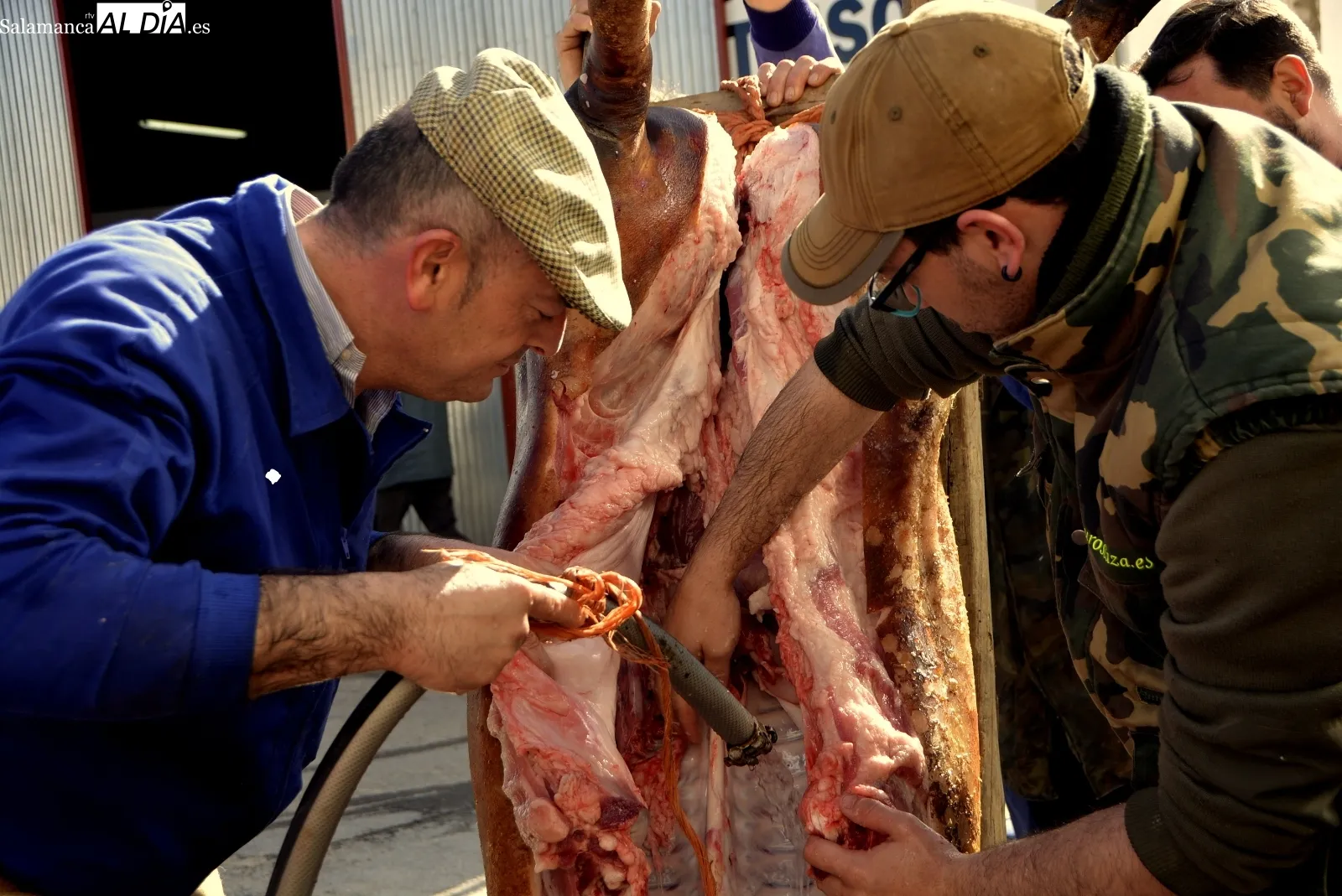 Aldeaseca vive este sábado su VII Matanza Típica