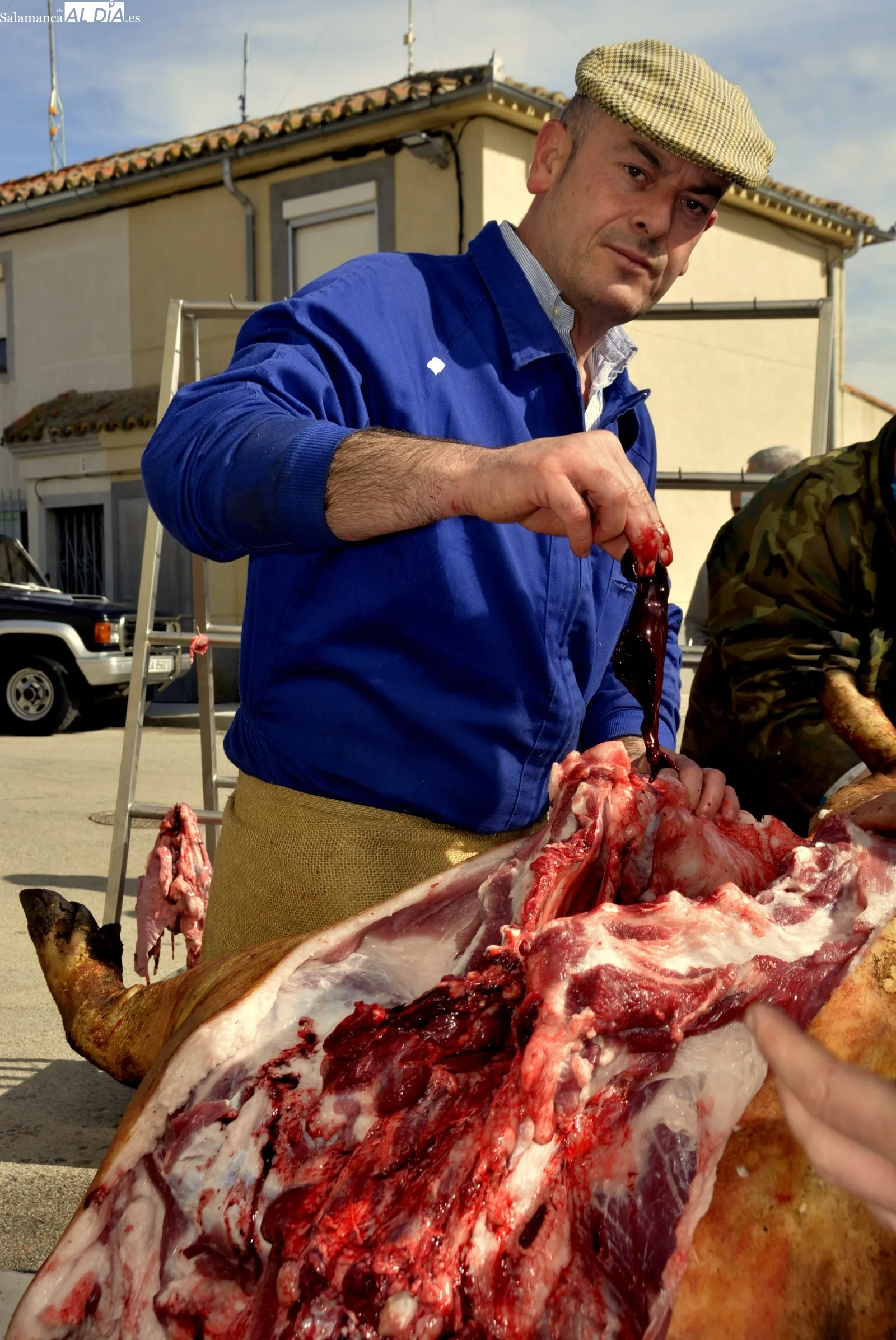 Aldeaseca vive este sábado su VII Matanza Típica