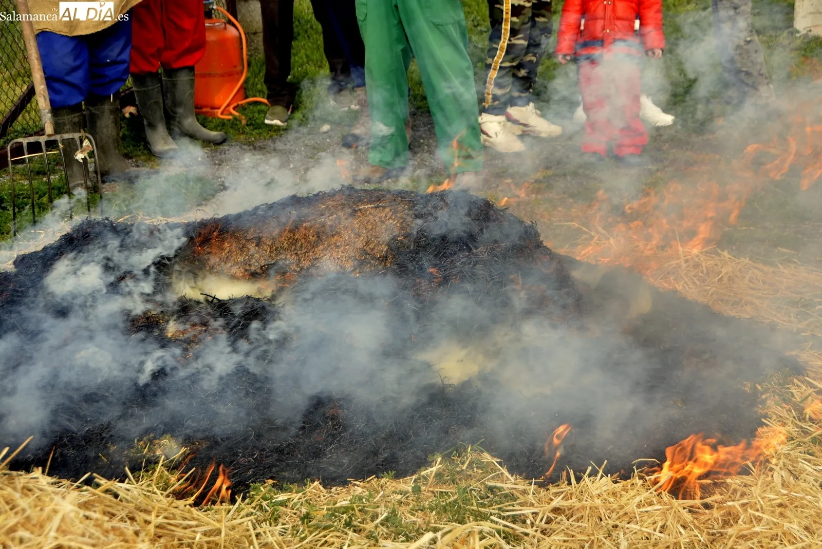 Aldeaseca vive este sábado su VII Matanza Típica