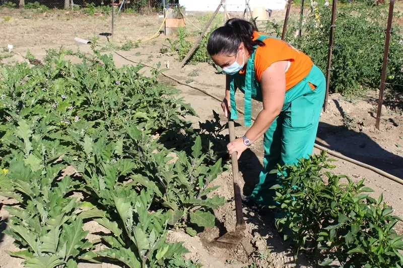 Foto 2 - Inscripciones abiertas para la nueva acci&oacute;n en agricultura ecol&oacute;gica de C&aacute;ritas