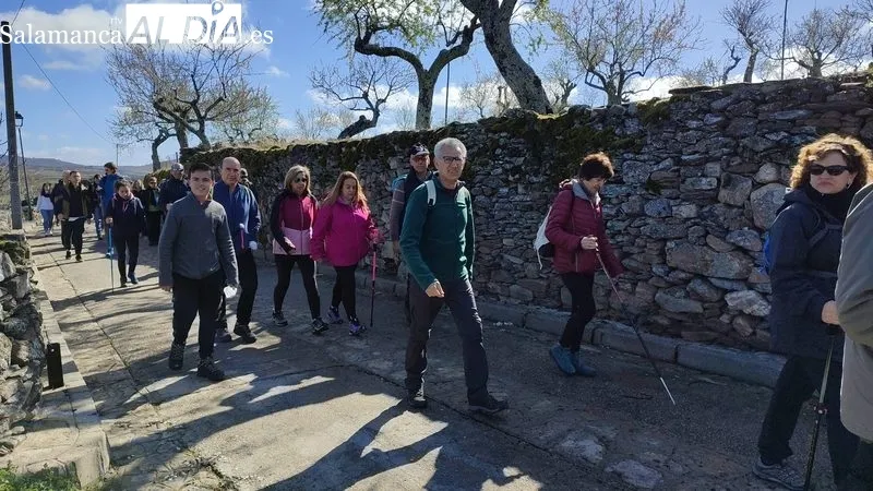 XXVI Marcha de senderismo en Vilvestre