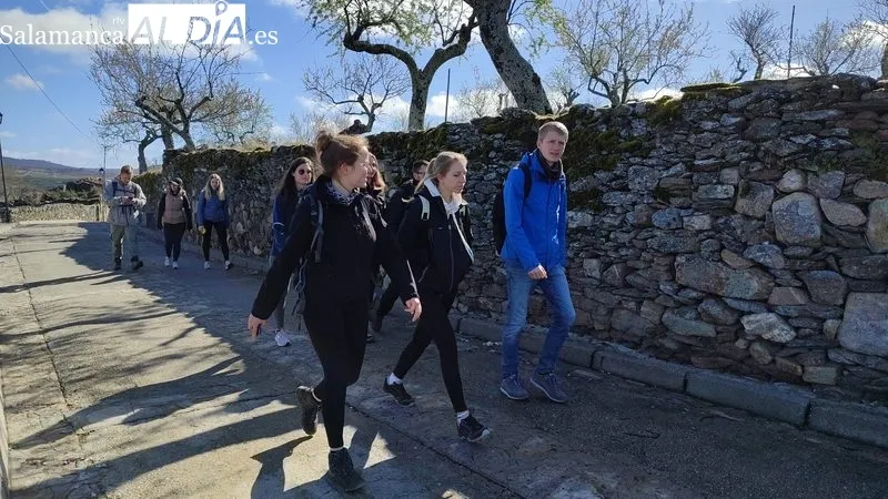 XXVI Marcha de senderismo en Vilvestre