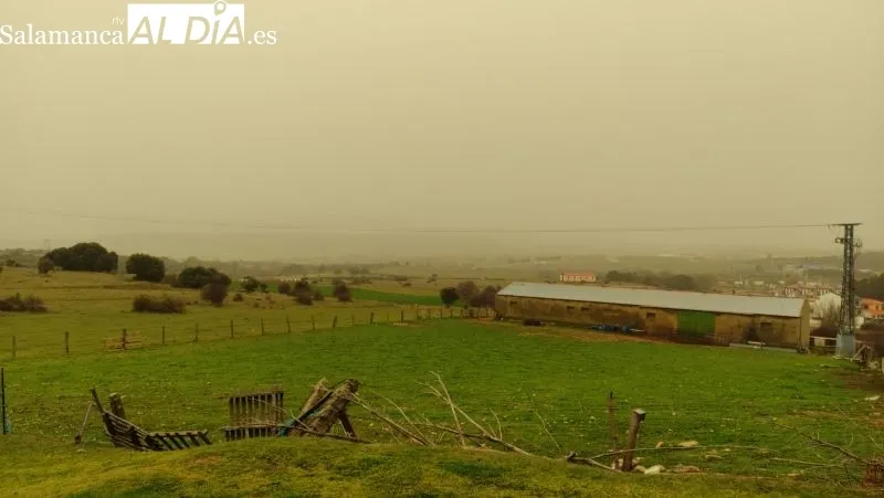 Guijuelo y alrededores bajo la calima - Kiko Robles