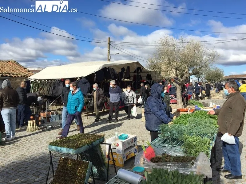 Mercadillo de Trabanca del mes de marzo de 2022 