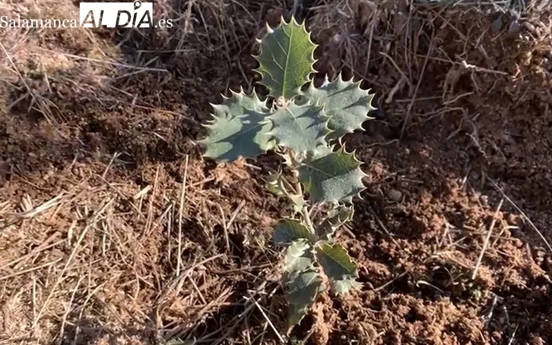 Foto 2 - La Usal promociona la fauna y flora de las Arribes en Saldeana