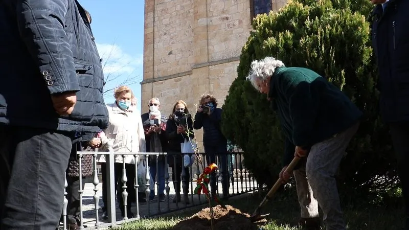 Fiesta del Alemndro en La Fregeneda 