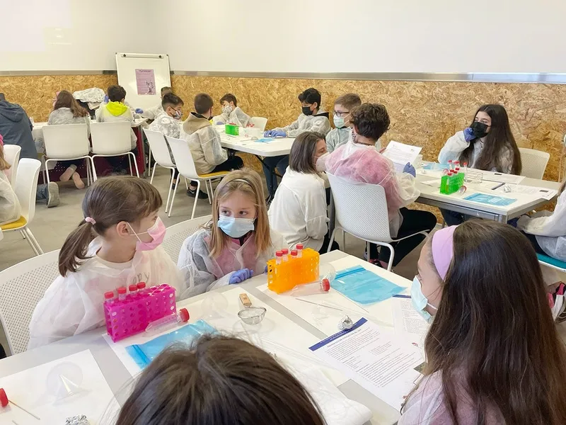 Taller de purificación de ADN en el que han participado los niños de Carbajosa