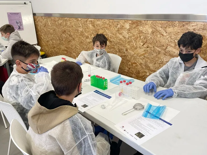 Taller de purificación de ADN en el que han participado los niños de Carbajosa