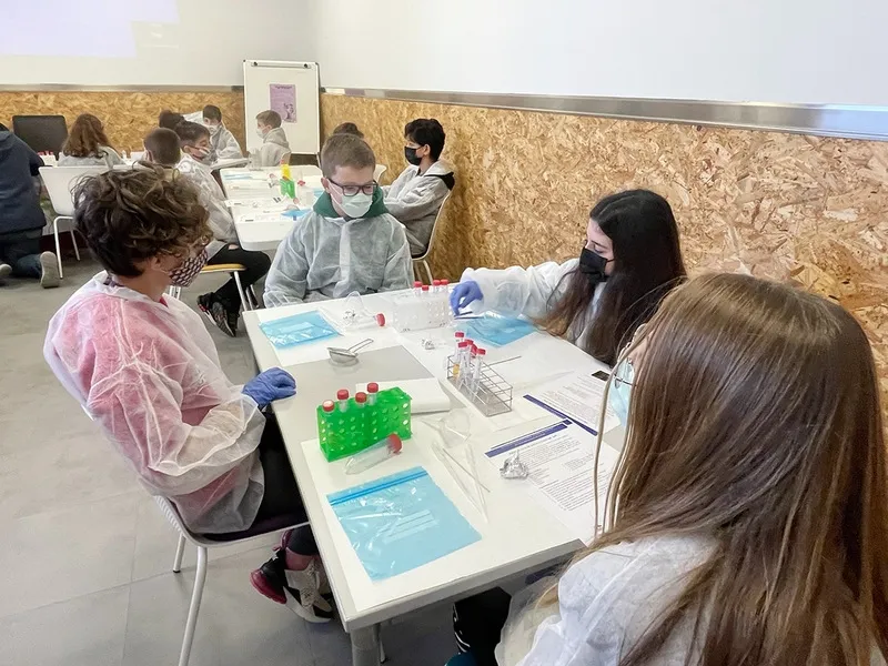 Taller de purificación de ADN en el que han participado los niños de Carbajosa