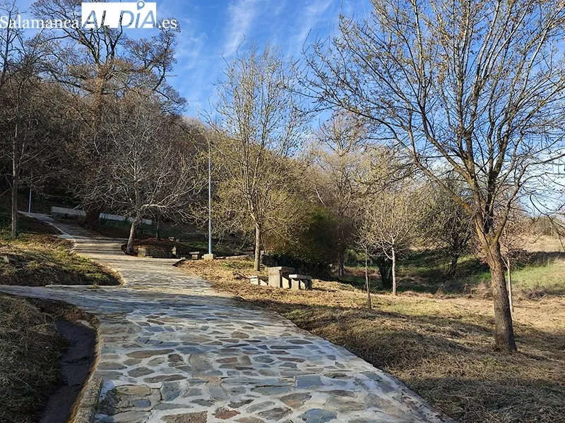 Foto 4 - El paraje de El regajo vuelve a estar disponible para el disfrute de los bejaranos
